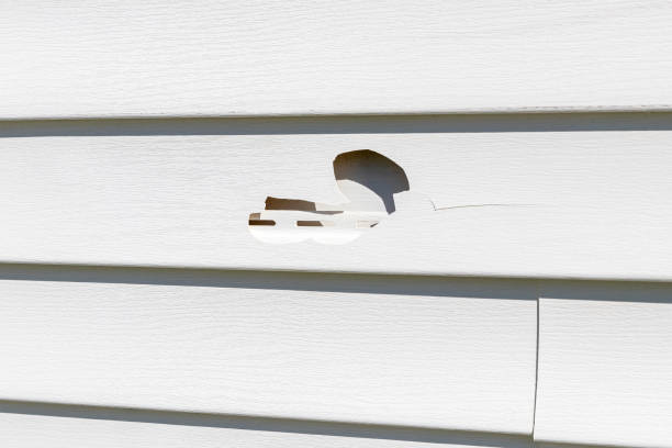 Best Stucco Siding  in Ballard, UT